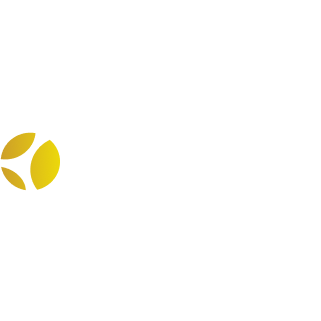 Anheuser Busch InBev India (AB InBev) logo