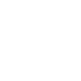 Auckland International logo