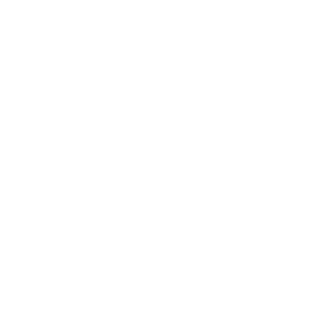 Vikram Solar logo