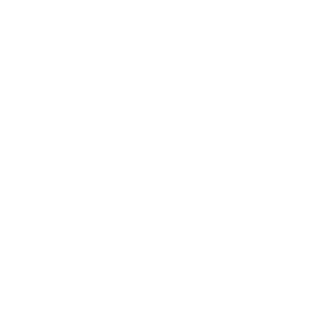 Madbow Ventures logo