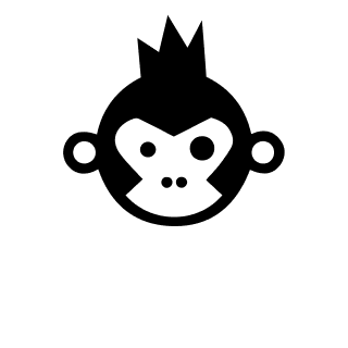 BIRA 91